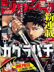 色列漫画深棕区历史纪实专辑封面